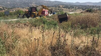 İneğe çarpan kamyon şarampole yuvarlandı: 2 ölü, 8 yaralı