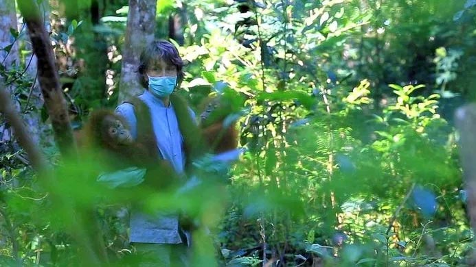 Bilim dünyası korkuttu: Son salgın olmayacak!