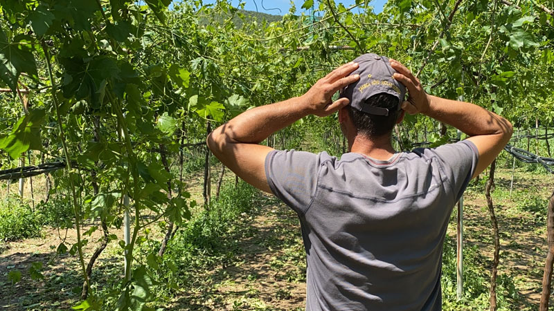 Tarımda zarar büyük!