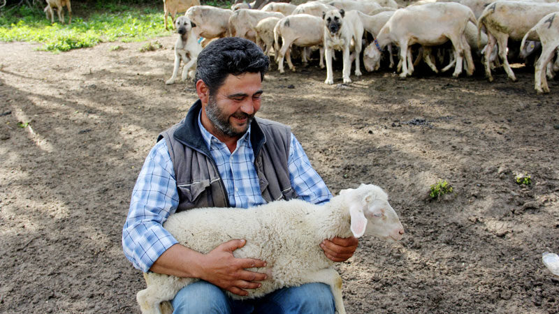 Bursa'nın İnegöl ilçesinde 45 yaşındaki Ayhan Şentürk, doğa ve hayvan
