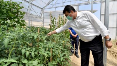 Osmangazi’den Milli Tarım Hamlesi