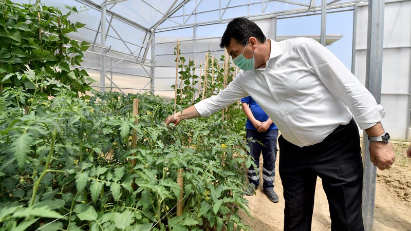 Osmangazi’den Milli Tarım Hamlesi