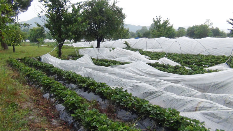 İnegöl’ü sağanak yağış ve dolu vurdu