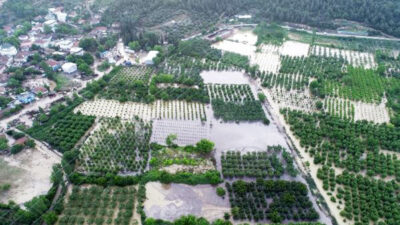 Bursa’daki sel felaketiyle ilgili Tarım Bakanlığı’ndan açıklama