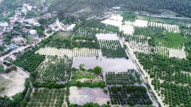 Bursa’daki sel felaketiyle ilgili Tarım Bakanlığı’ndan açıklama
