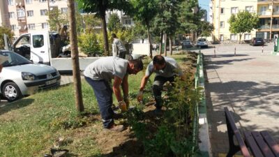 Parklara ‘normalleşme’ bakımı