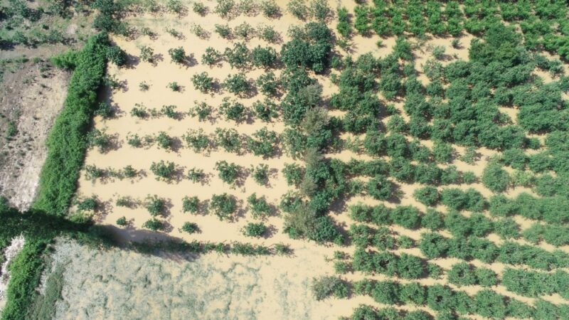 Görüntüler Bursa’dan… Binlerce dönüm tarım arazisi sular altında Bursa’da sel felaketinin yaşandığı Kestel ilçesinde binlerce dönüm tarım arazisi