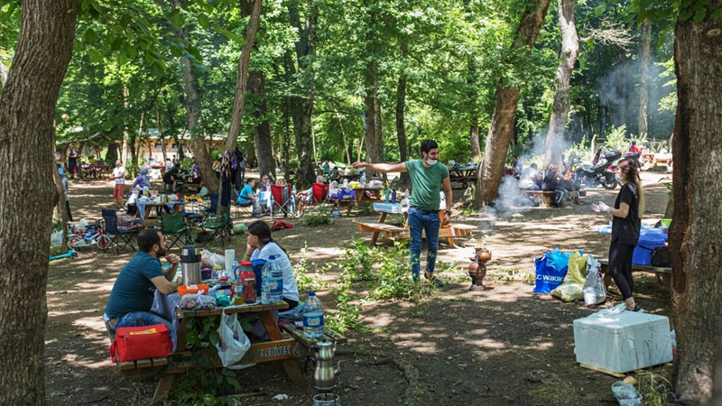 Ormana akın ettiler! Uzun araç kuyrukları oluştu