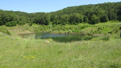 11 yıl önce kuruyan Bursa’daki gölden sevindiren haber