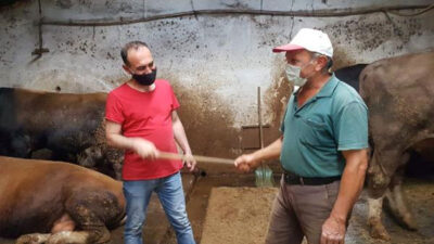 Bursa’da kurbanlık alışverişinde değnekli pazarlık