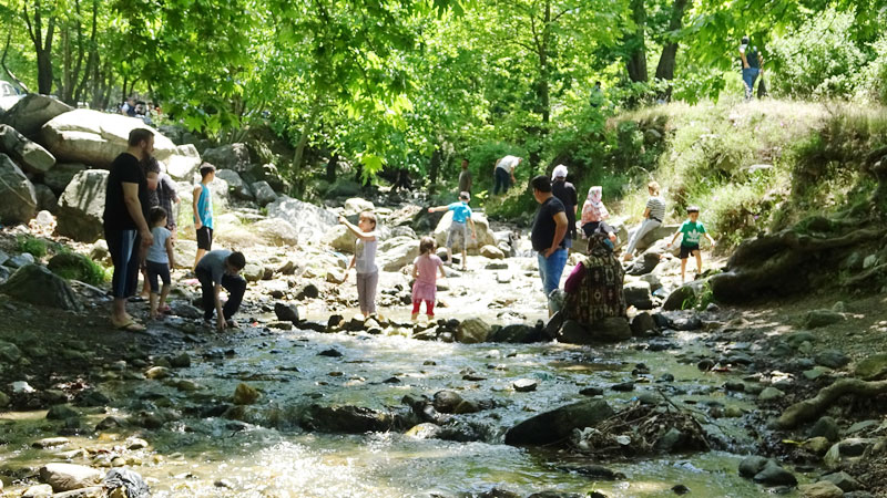 Kısıtlamasız ilk pazar günü! Bursalılar piknik alanlarına akın etti