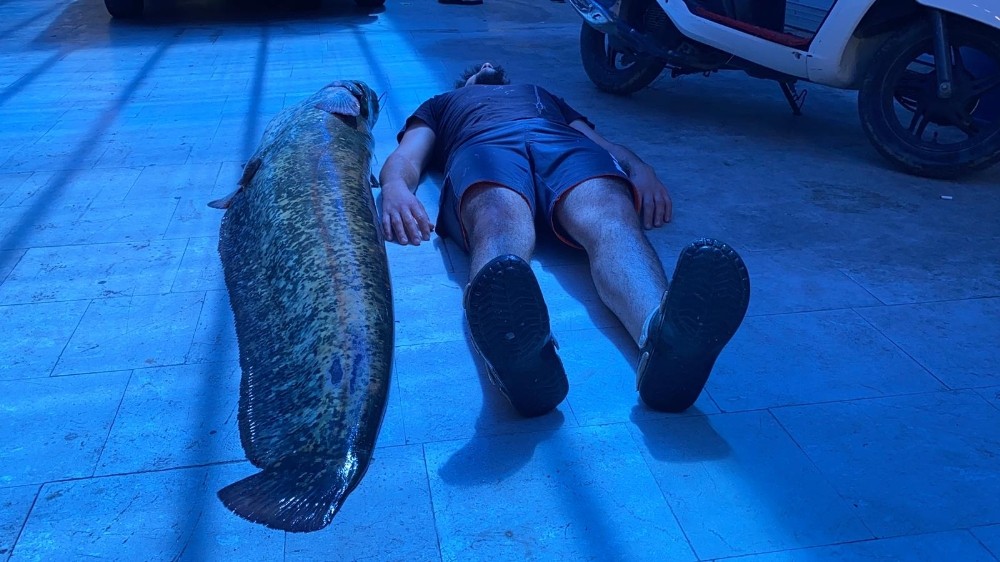 Bursa’da insan boyunda balık yakalandı Bursa’da insan boyunda balık yakalandı