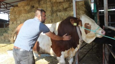 Bursa’nın ’Reis’i alıcısını bekliyor