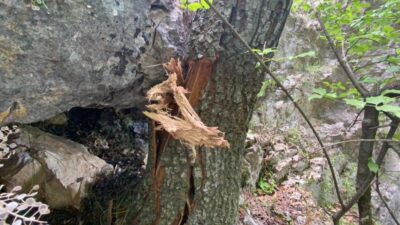 Bursa’nın sahil mahallesinde kaya düşme tehlikesi