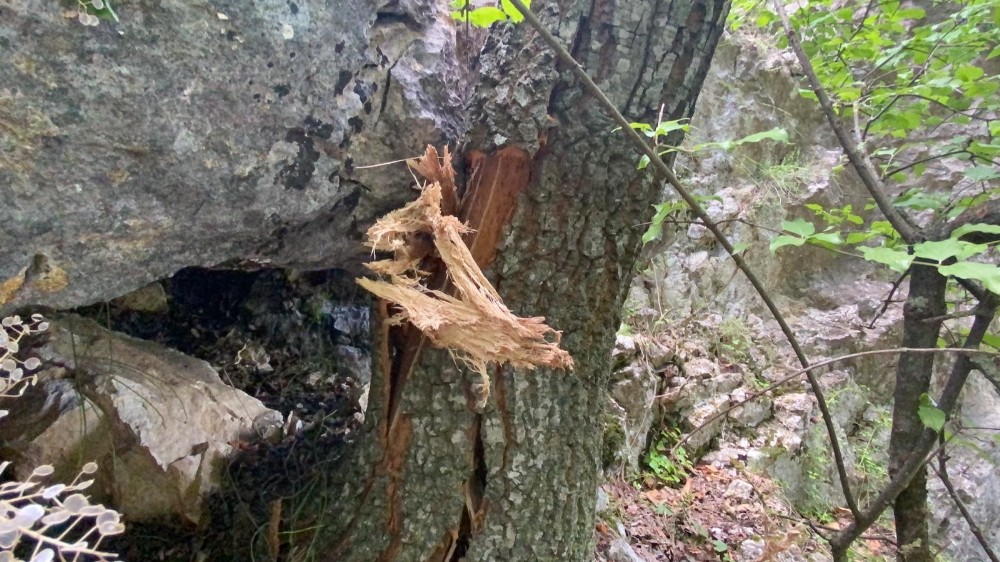 Bursa’nın sahil mahallesinde kaya düşme tehlikesi Bursa’nın sahil mahallesinde kaya düşme tehlikesi