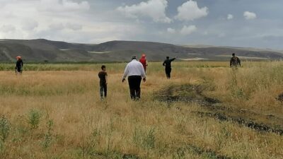 Çorum Valisi’nden aslan açıklaması