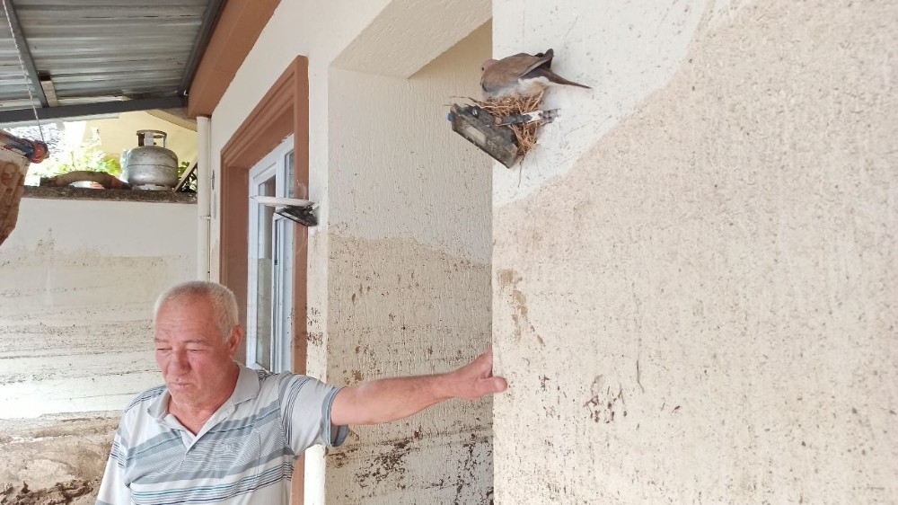 Dudaklı’daki felaketin simgesi oldu