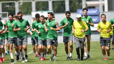 Timsah izne çıktı…