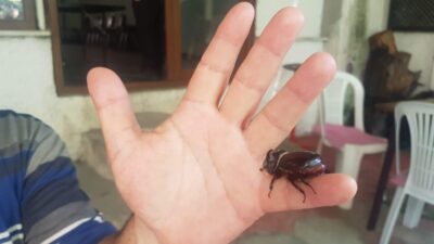 Gözü gibi bakıyor! Bursa’da gittiği her yere onu da götürüyor