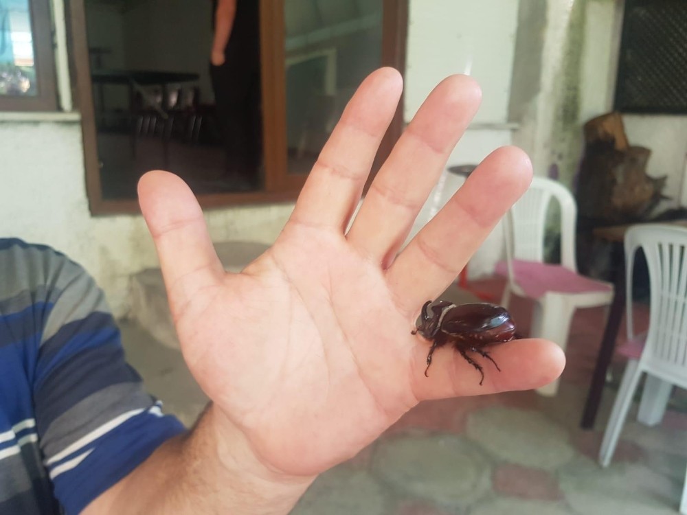 Gözü gibi bakıyor! Bursa’da gittiği her yere onu da götürüyor