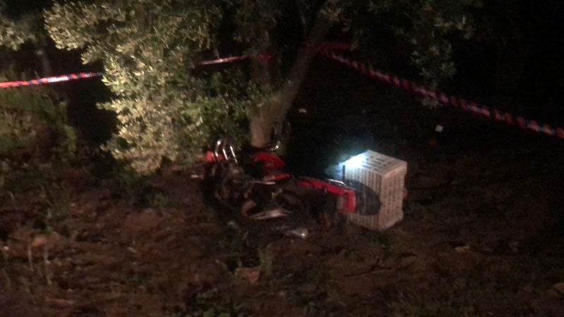 Bursa'nın Orhangazi ilçesinde, domuza çarpan motosikletin sürücüsü hayatını kaybetti.