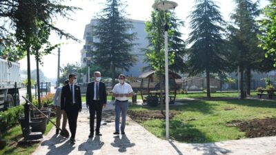 Koruluktaki kuruyan ağaçlar yenileniyor