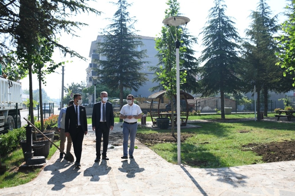 Koruluktaki kuruyan ağaçlar yenileniyor Koruluktaki kuruyan ağaçlar yenileniyor