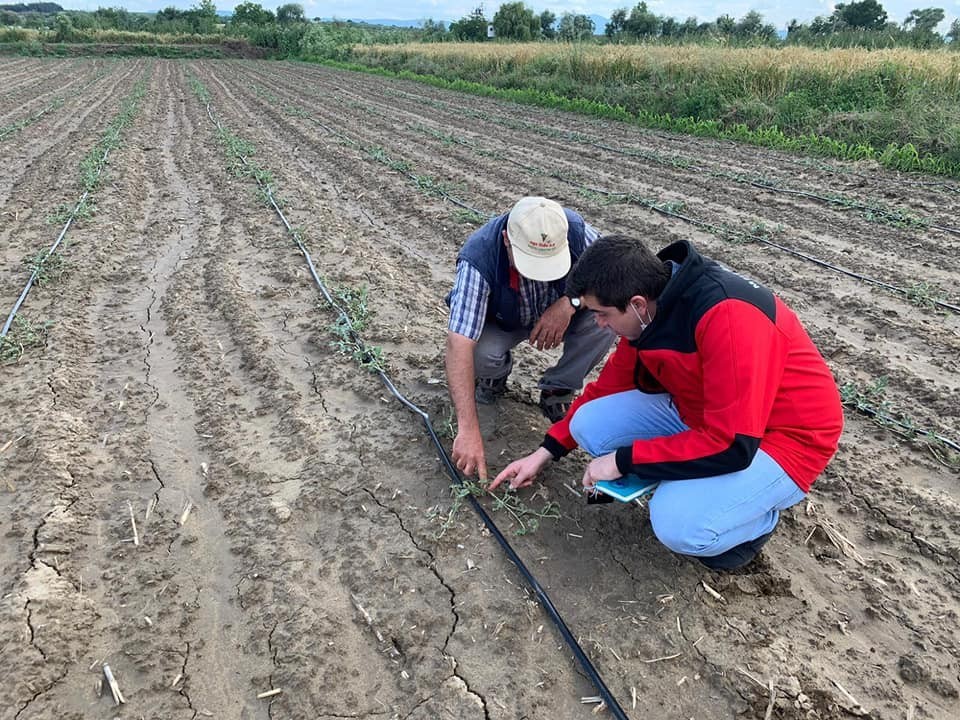 Mustafakemalpaşa’da çiftçiye destek hız kazandı Mustafakemalpaşa’da çiftçiye destek hız kazandı