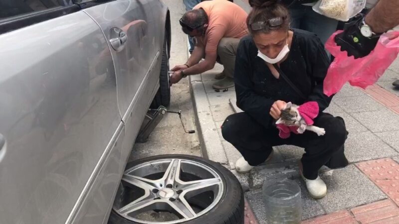 Bursa’da kedi kurtarma operasyonu Bursa’da lüks bir otomobilin içerisine sıkışan kedi, lastiğin sökülmesi sonucu