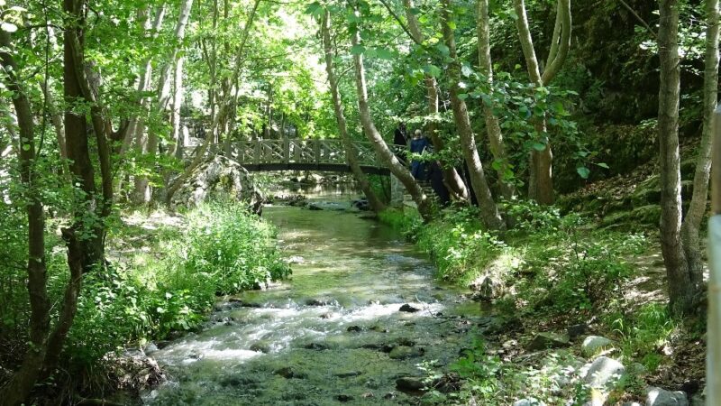 Kavurucu sıcakların vazgeçilmez adresi Sadağı Kanyonu Bursa’nın önemli turizm merkezlerinden biri olan Sadağı Kanyonu, doğal güzelliği