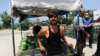 Hırçın at, yaptıklarıyla sahibini ağlattı