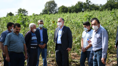 Sel Mağduru Köylere Tohum Desteği Yapılacak