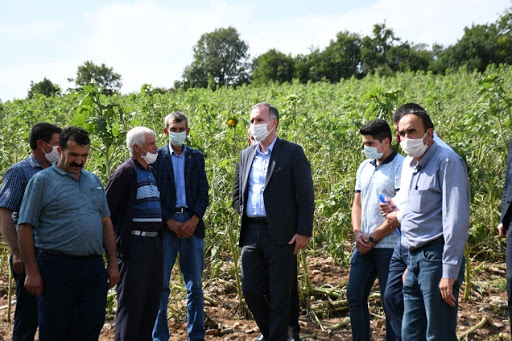 Sel Mağduru Köylere Tohum Desteği Yapılacak Sel Mağduru Köylere Tohum Desteği Yapılacak