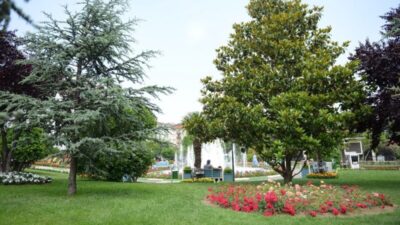 Yaz renkleri Yıldırım parklarını süslüyor