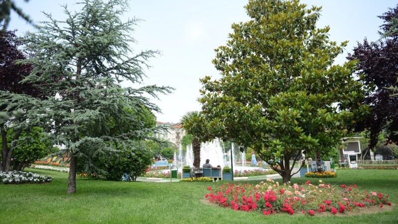Yaz renkleri Yıldırım parklarını süslüyor