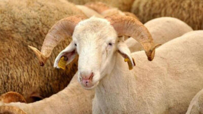 Bilim Kurulu üyesinden bayram uyarısı! Açık alanda, kısa süreli…