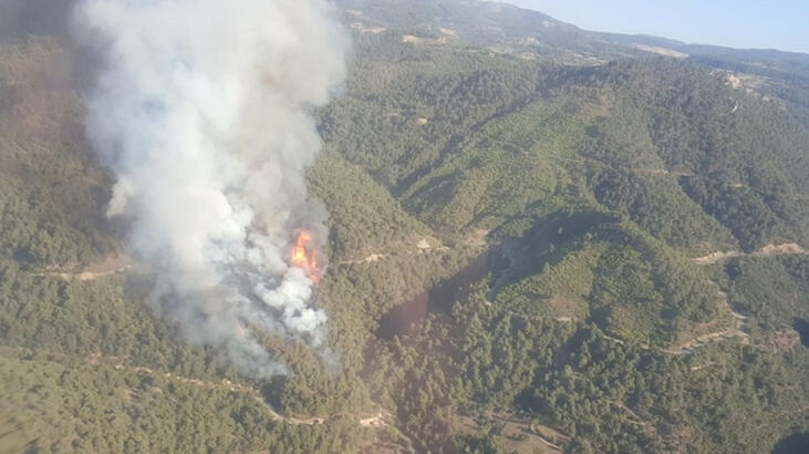 Manisa’da orman yangını! Ekipler oraya koştu