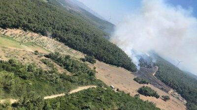 İzmir’de orman yangını! Çevre illerden yardım istendi