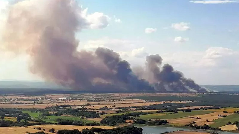 Edirne’deki orman yangını kontrol altına alındı