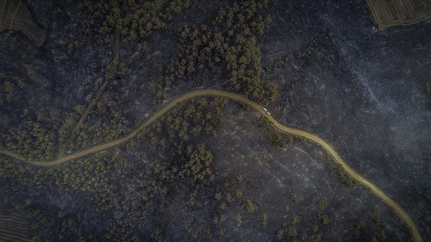 Bakan Pakdemirli’den Gelibolu’daki orman yangınıyla ilgili açıklama