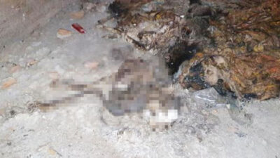 Bursa’da vahşet! Bunu yapan insan olamaz