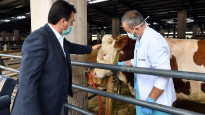 Dev Tesiste İlk Pazarlığı Başkan Yaptı