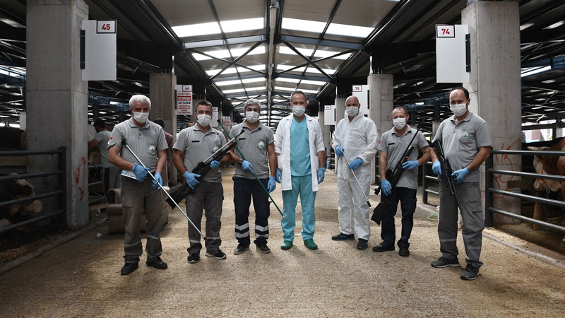 Boğa yakalama timi bayrama hazır