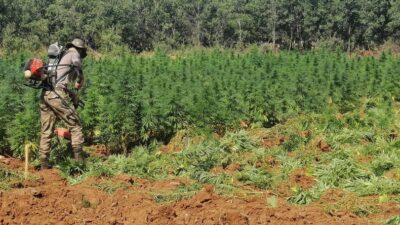 Terörün finans kaynağına büyük darbe