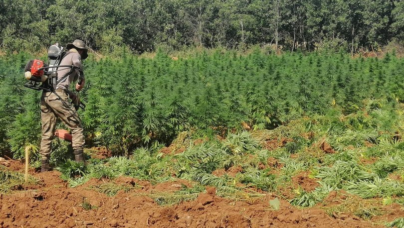 Terörün finans kaynağına büyük darbe