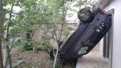 Bahçeye çıkınca hayatının şokunu yaşadı!