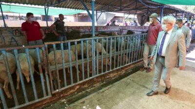 Başkan Erdem’den hayvan pazarına ziyaret