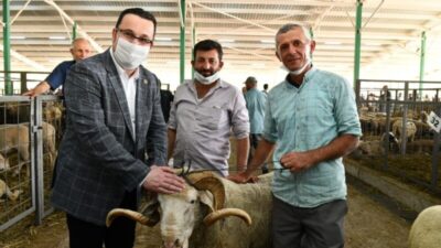 Başkan Kanar hayvan pazarını ziyaret etti