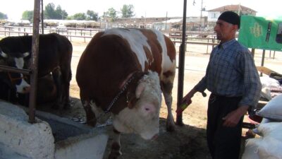 Geldiği gibi satıldı… Bir tonluk Boncuk!