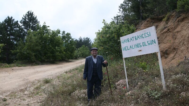 Bursa’da bu sebze ve meyveler 23 yıldır ücretsiz Bursa’nın Orhaneli ilçesinde yaşayan 85 yaşındaki İbrahim Alan, yol kenarlarına